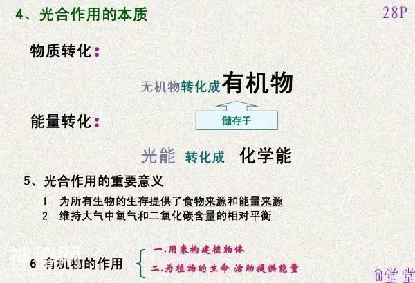 干货！初中生物重难点知识汇总，3年就这一份核心，次次稳拿100！-29.jpg