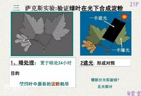 干货！初中生物重难点知识汇总，3年就这一份核心，次次稳拿100！-26.jpg
