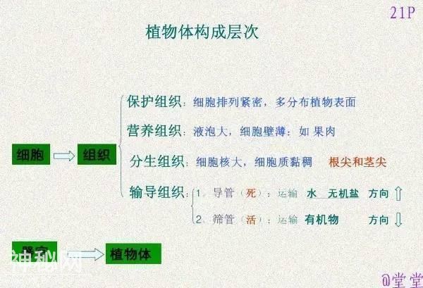 干货！初中生物重难点知识汇总，3年就这一份核心，次次稳拿100！-22.jpg