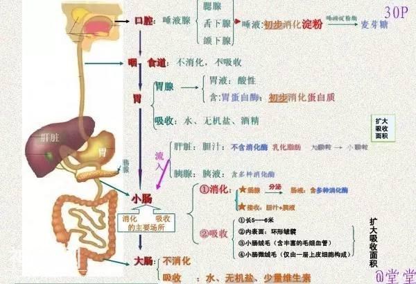 干货！初中生物重难点知识汇总，3年就这一份核心，次次稳拿100！-35.jpg