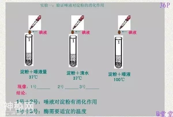 干货！初中生物重难点知识汇总，3年就这一份核心，次次稳拿100！-41.jpg