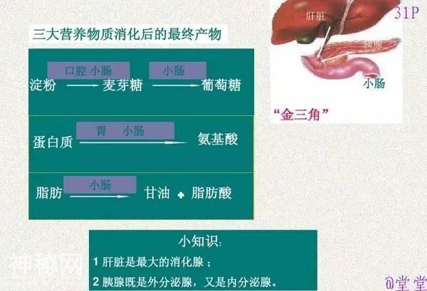 干货！初中生物重难点知识汇总，3年就这一份核心，次次稳拿100！-36.jpg