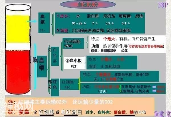 干货！初中生物重难点知识汇总，3年就这一份核心，次次稳拿100！-43.jpg