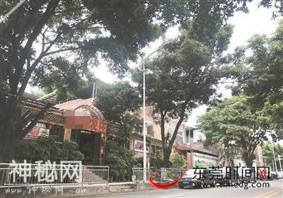 记者暗访东莞“网红”农庄 发现菜品总有不明飞行物造访……-1.jpg