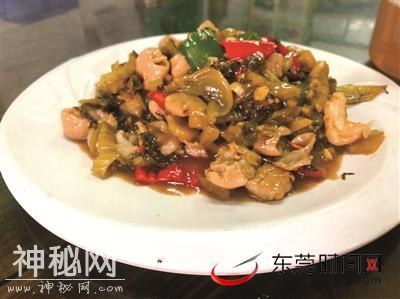 记者暗访东莞“网红”农庄 发现菜品总有不明飞行物造访……-2.jpg