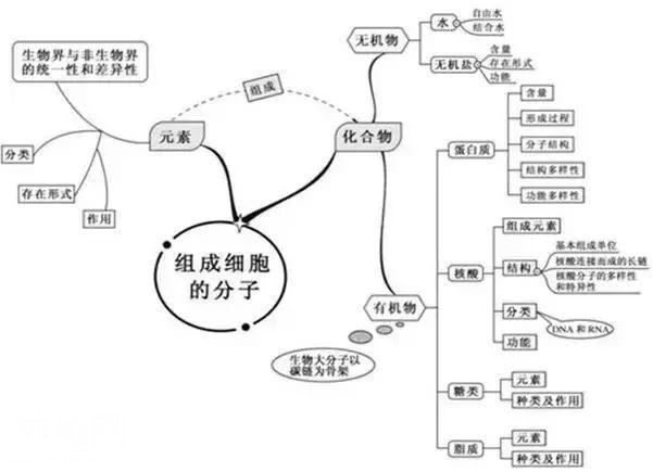 鬼才老师：仅用20张图扫清初中3年知识点，全班地理均分不下98+！-5.jpg