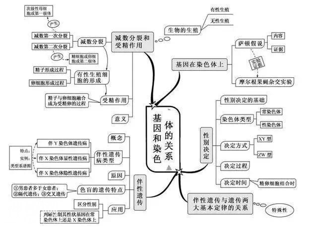 鬼才老师：仅用20张图扫清初中3年知识点，全班地理均分不下98+！-11.jpg