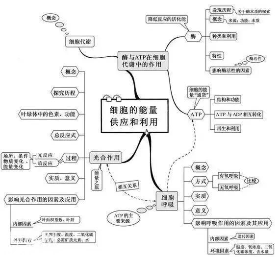 鬼才老师：仅用20张图扫清初中3年知识点，全班地理均分不下98+！-9.jpg