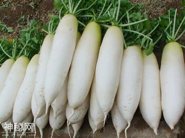 「今日靓汤」炎炎夏日，就该来份健脾“保健肉”汤！-6.jpg