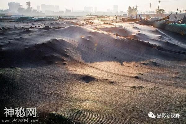 河南考古又一重大发现，26匹春秋马惊现义马-2.jpg