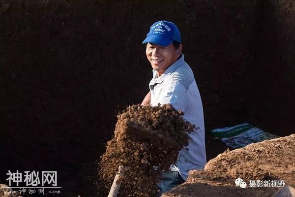 河南考古又一重大发现，26匹春秋马惊现义马-6.jpg