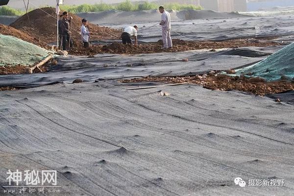河南考古又一重大发现，26匹春秋马惊现义马-11.jpg