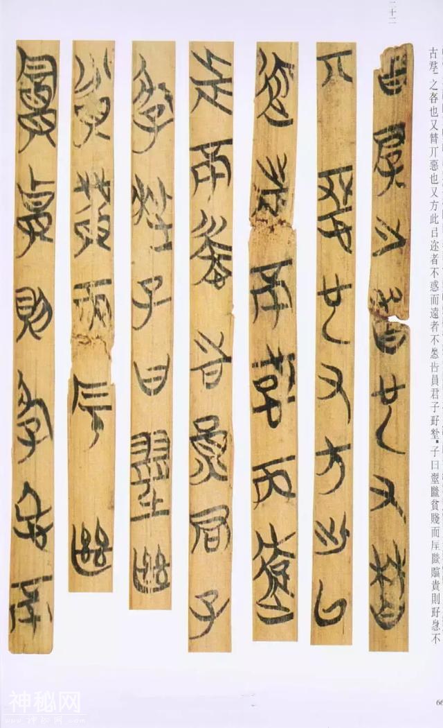考古人员挖开一秦墓，发现18本失传古籍，文物专家：改写了秦史-4.jpg
