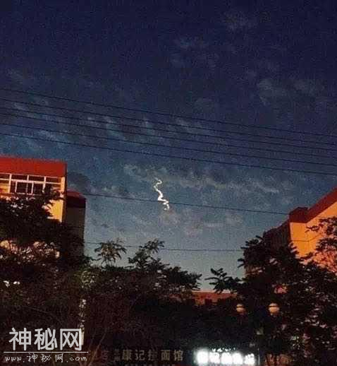 龙真是图腾？考古出土6500年前“龙虎”，科学该如何解释？-1.jpg