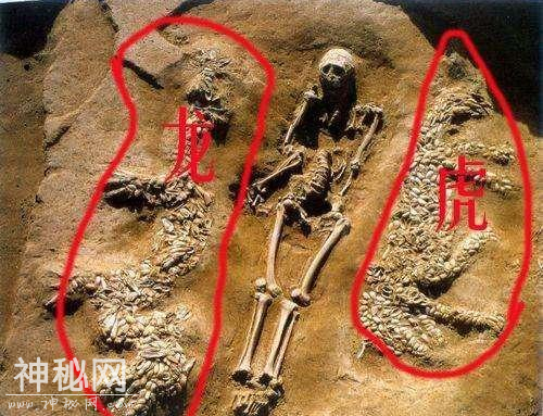 龙真是图腾？考古出土6500年前“龙虎”，科学该如何解释？-2.jpg