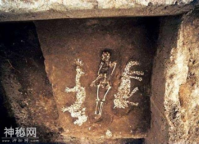 龙真是图腾？考古出土6500年前“龙虎”，科学该如何解释？-3.jpg