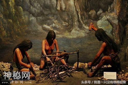 关于神龙架野人的真实故事！-1.jpg