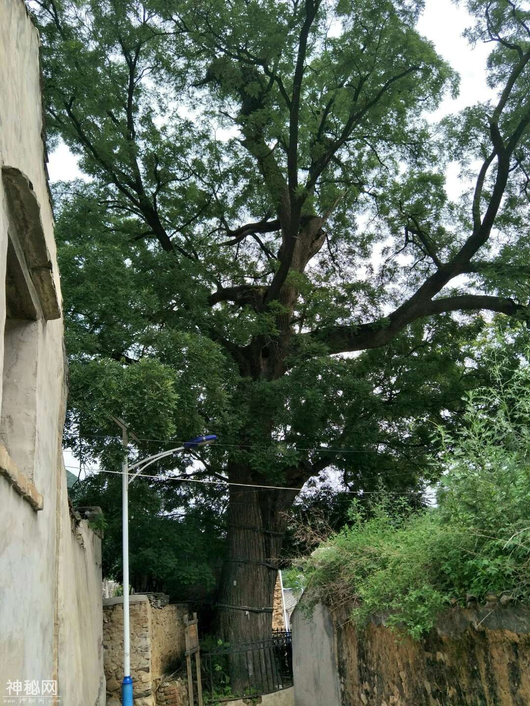 北京市乡村民俗旅游村-1.jpg