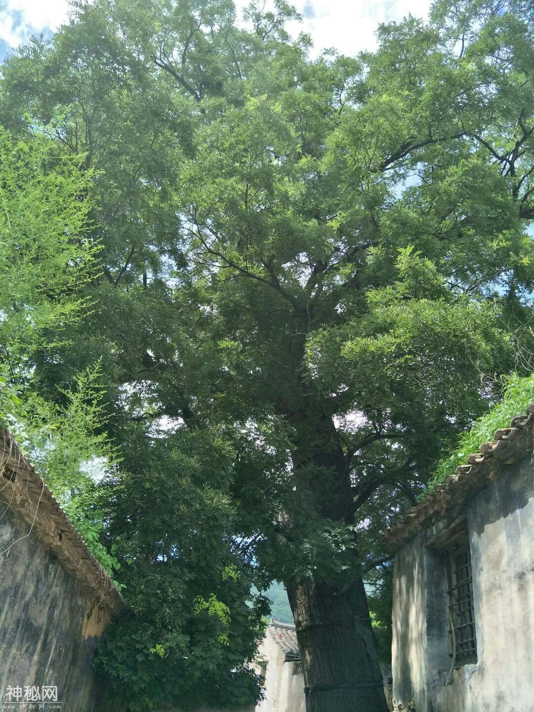 北京市乡村民俗旅游村-5.jpg