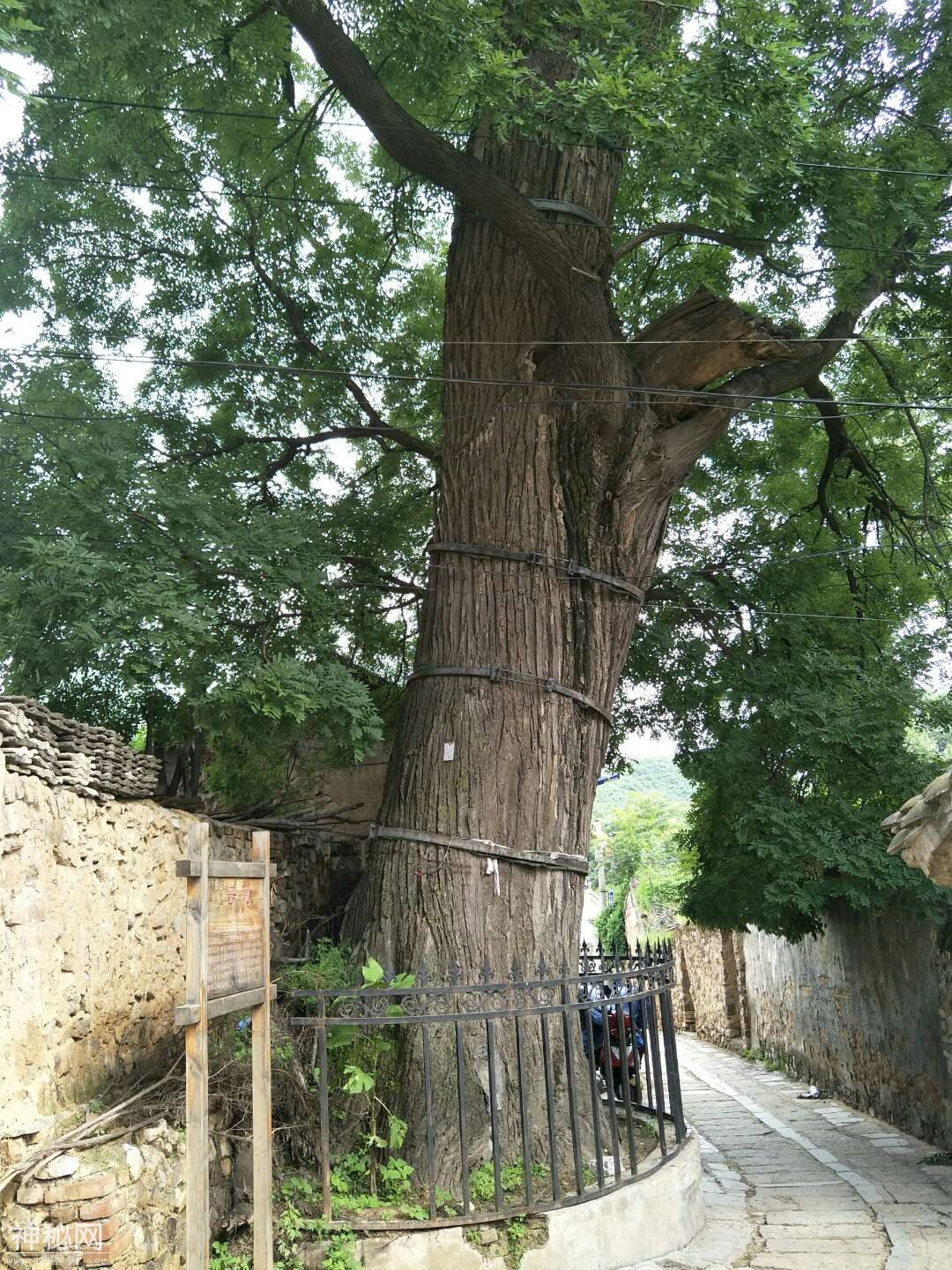 北京市乡村民俗旅游村-40.jpg