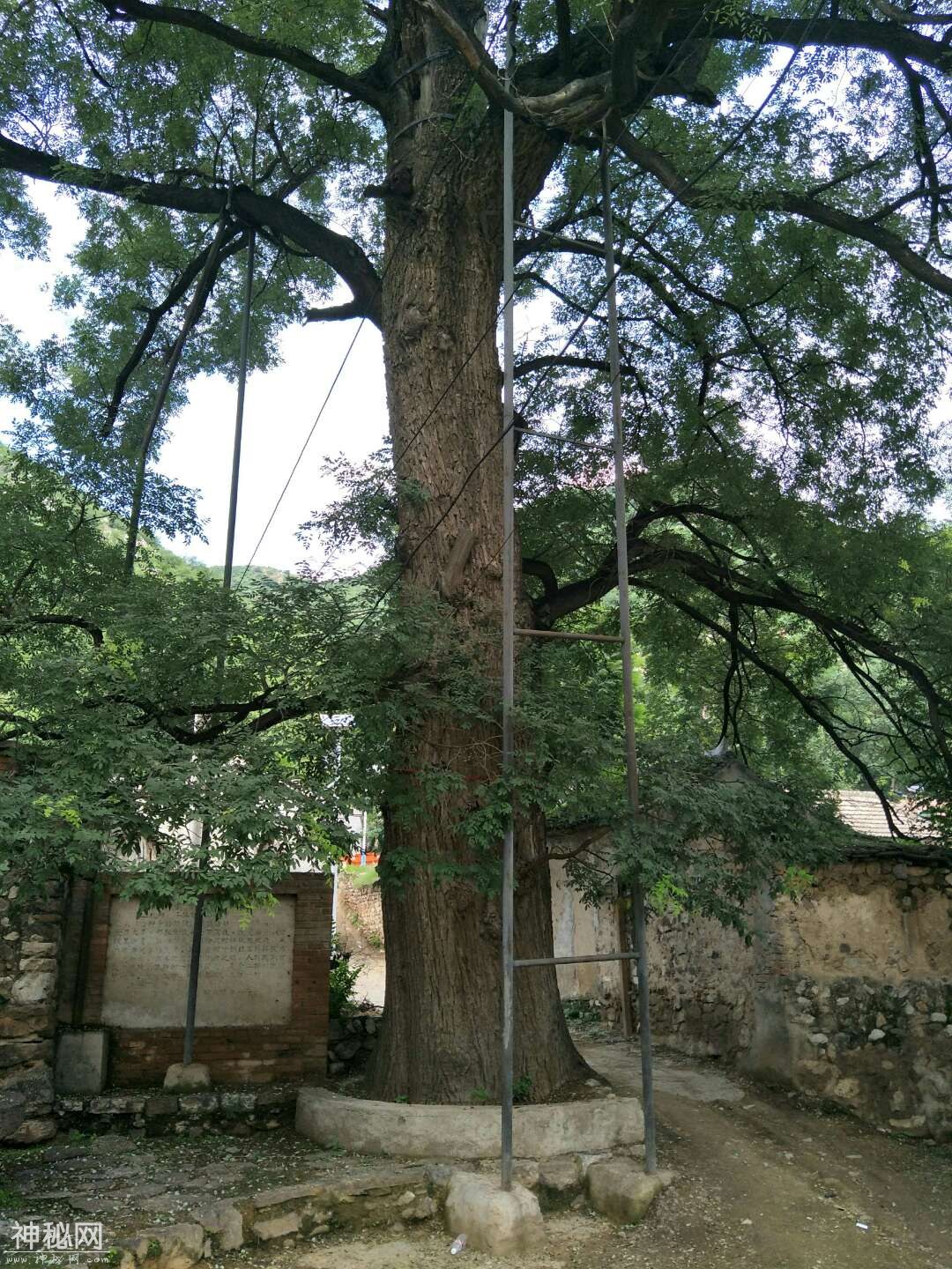 北京市乡村民俗旅游村-42.jpg