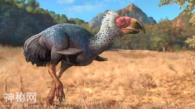 这些生物在进化到路上不知所踪，但个个造型独特，简直太极品！-3.jpg