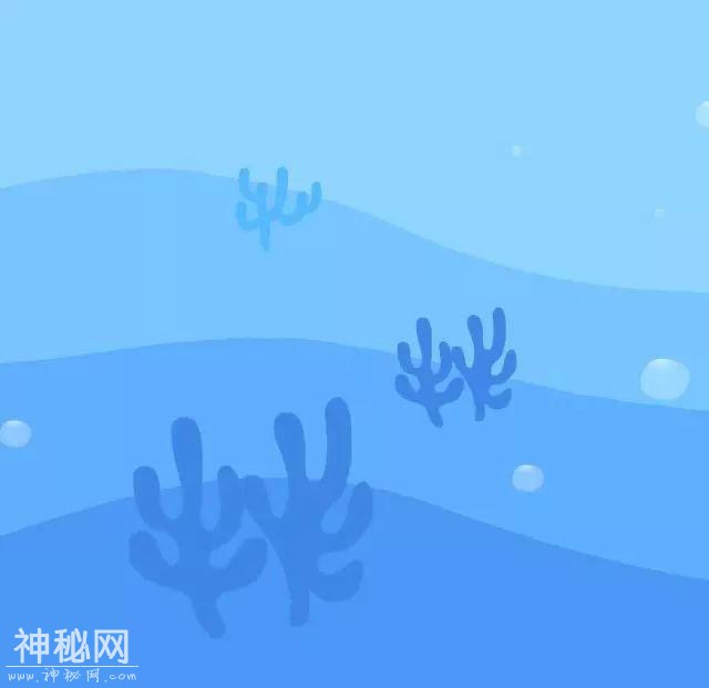 打开“文物动物园”大门的钥匙丨知识阅读册之二——水中-2.jpg