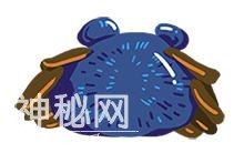 打开“文物动物园”大门的钥匙丨知识阅读册之二——水中-10.jpg