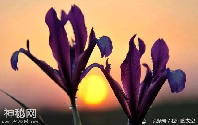 我从罗布泊走过-3.jpg