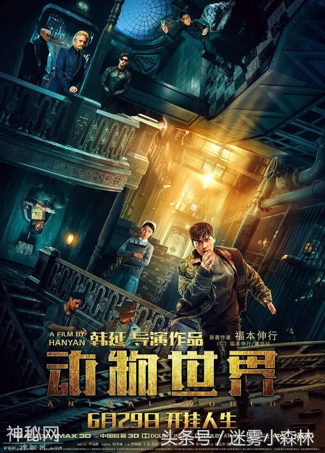 《动物世界》：被低估的电影，败给的不止是药神，还有流量明星！-1.jpg