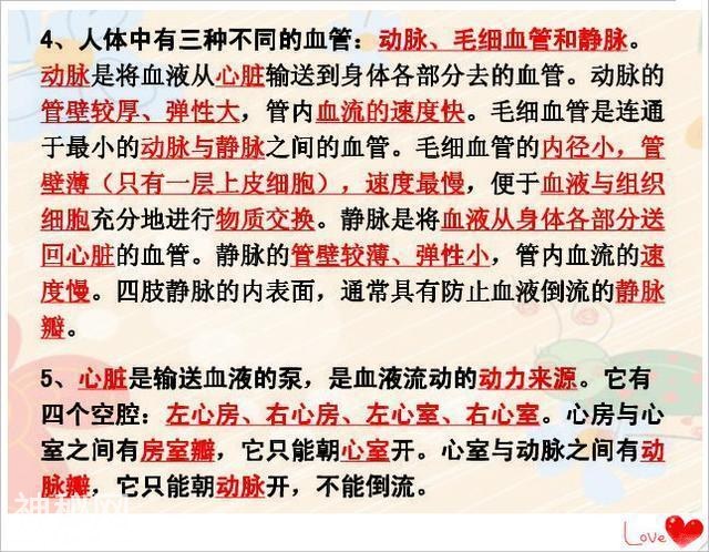 初中生物：这60个必考知识点，打印一份早晚背，高中领先一大截！-19.jpg