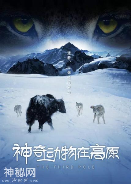 “不能错过的中国纪录大片”自然人文篇-6.jpg
