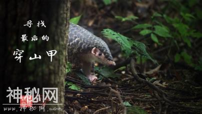 “不能错过的中国纪录大片”自然人文篇-5.jpg