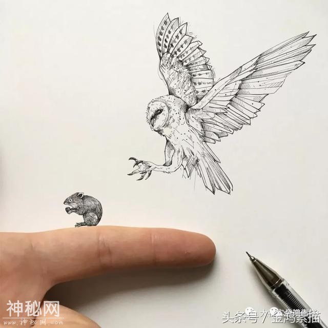 手绘动物插画作品欣赏｜分享-7.jpg
