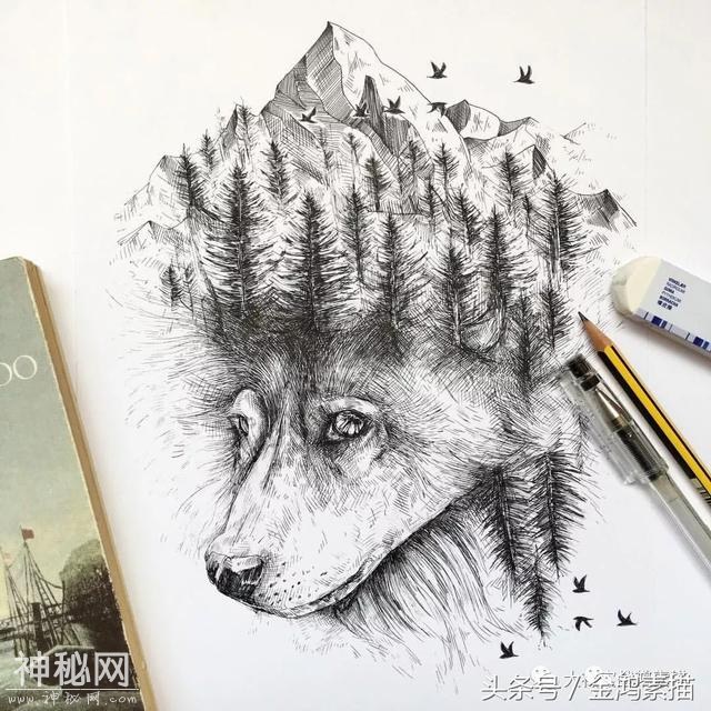 手绘动物插画作品欣赏｜分享-10.jpg
