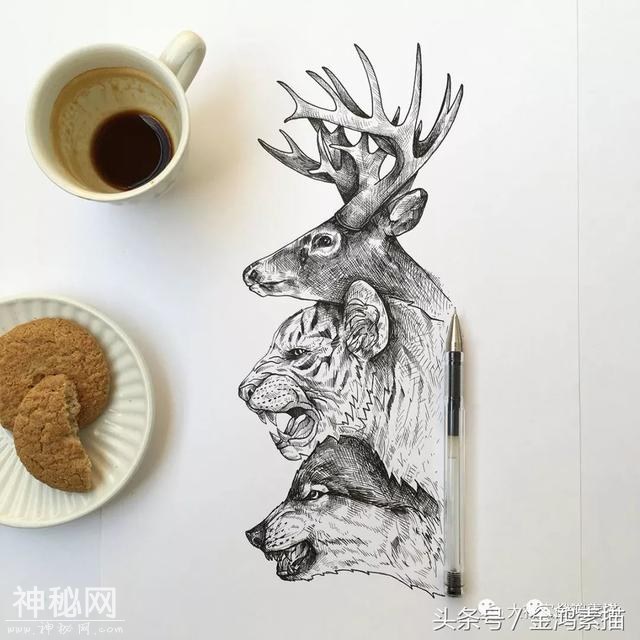 手绘动物插画作品欣赏｜分享-9.jpg