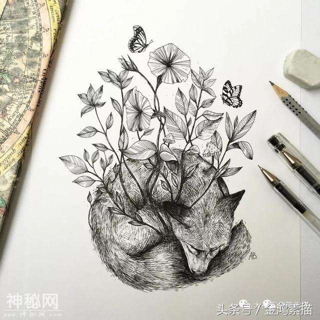 手绘动物插画作品欣赏｜分享-11.jpg