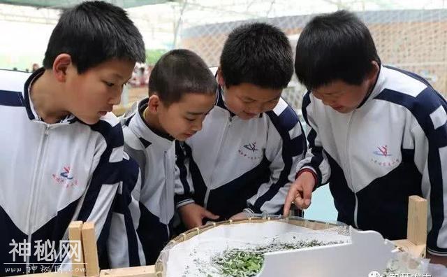 全套的农业观光生态链，人文景观和工程要素，进行合理融合和布局-5.jpg