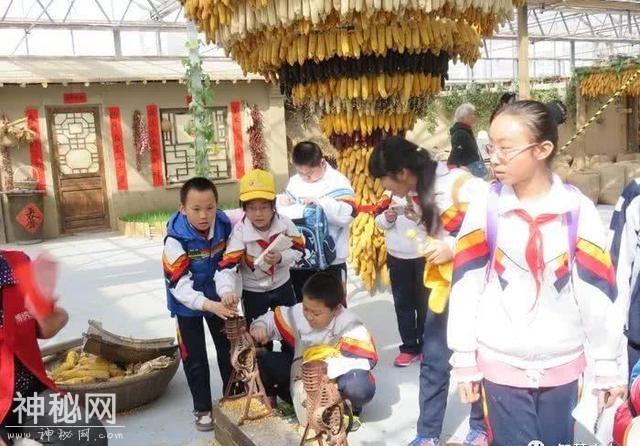 全套的农业观光生态链，人文景观和工程要素，进行合理融合和布局-6.jpg