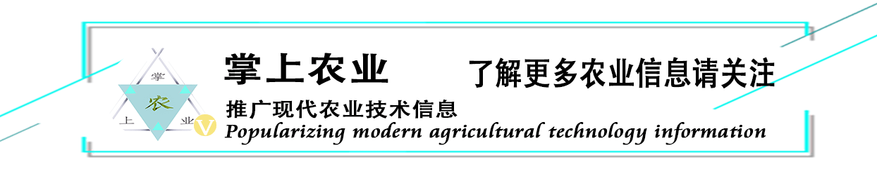 全套的农业观光生态链，人文景观和工程要素，进行合理融合和布局-1.jpg