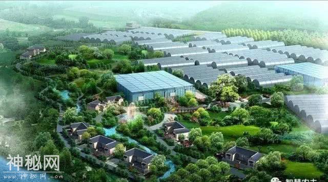 全套的农业观光生态链，人文景观和工程要素，进行合理融合和布局-2.jpg