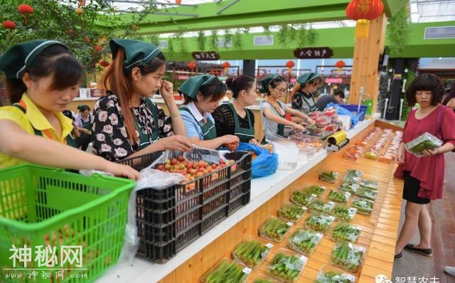 全套的农业观光生态链，人文景观和工程要素，进行合理融合和布局-9.jpg