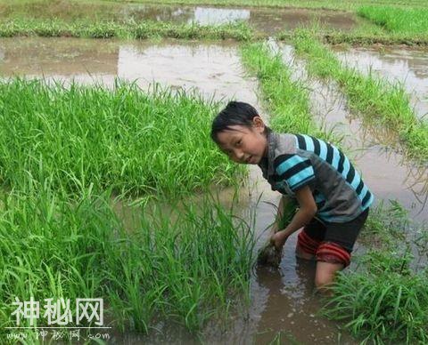去农村看公婆，我做一桌子菜，不让我上桌，我重要还是风俗重要？-3.jpg