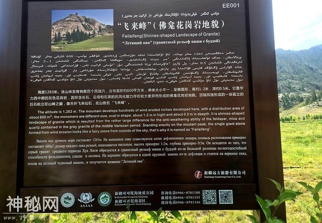 45天狂野自驾游｜1000级台阶登上观鱼台，板等喀纳斯水怪突然出现-5.jpg