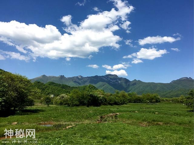 45天狂野自驾游｜1000级台阶登上观鱼台，板等喀纳斯水怪突然出现-48.jpg