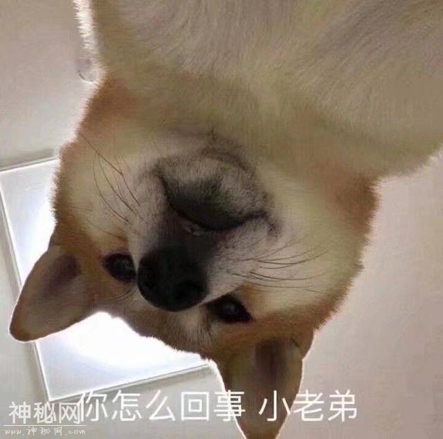 这些鸡汤不止毒还搞笑，总有一个会让你笑出来-5.jpg