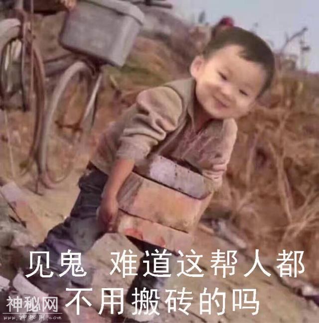 这些鸡汤不止毒还搞笑，总有一个会让你笑出来-6.jpg