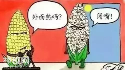 口干、口苦、有异味？身体需要“灭火”啦！三款“灭火”茶收藏好！-1.jpg
