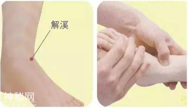 口干、口苦、有异味？身体需要“灭火”啦！三款“灭火”茶收藏好！-11.jpg