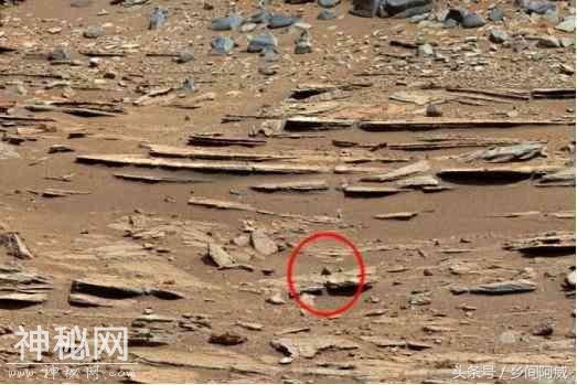火星上再次出现人类使用的东西，可能有生命存在-4.jpg